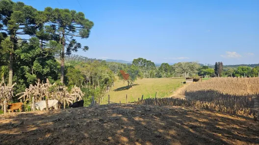 Fazenda/Sítio com 2 Quartos à venda, 100m² no , Mandirituba