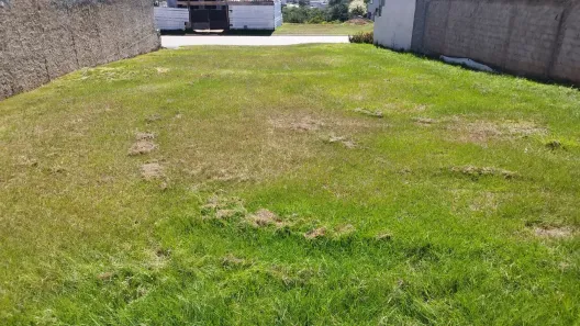 Lote/Terreno à venda, 354m² no Jardins Porto, Senador Canedo