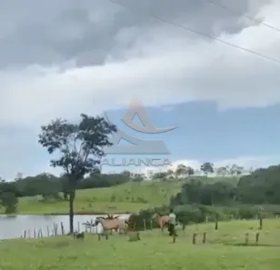 Fazenda/Sítio com 10 Quartos à venda, 12350000m² no Área Rural de Patos de Minas, Patos de Minas