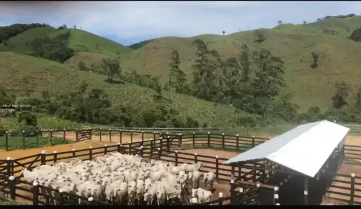 Fazenda/Sítio com 2 Quartos à venda, 4840000m² no , Trajano de Moraes