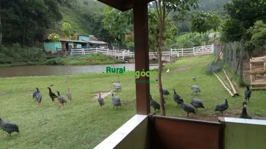 Fazenda/Sítio à venda, 130000m² no , Natividade da Serra
