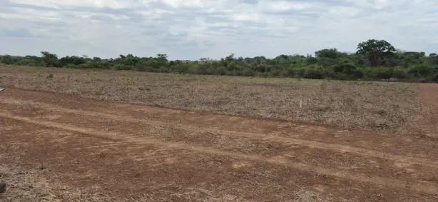 Fazenda/Sítio à venda, 2000m² no , Palmeiras de Goiás