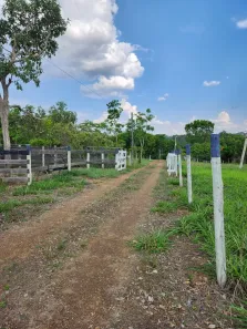 Fazenda/Sítio com 3 Quartos à venda, 48000m² no , Bela Vista de Goiás