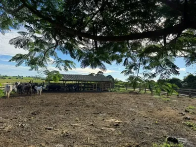 Fazenda/Sítio à venda, 762000m² no Área Rural de Marabá, Marabá