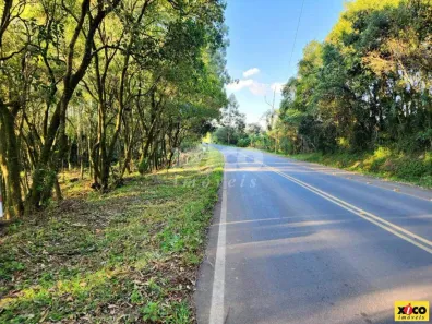 Fazenda/Sítio com 1 Quarto à venda, 5000m² no Canto Ruckert, Linha Nova