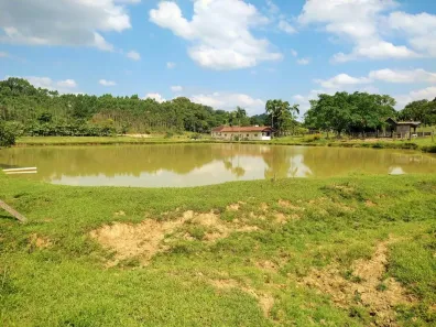 Fazenda/Sítio com 5 Quartos à venda, 31817m² no Tiroleses, Timbó