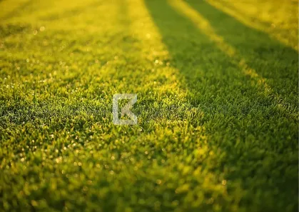 Lote/Terreno à venda, 10m² no Parque Campo Bonito, Indaiatuba
