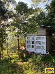 Fazenda/Sítio com 1 Quarto à venda, 5000m² no Nova Petrópolis, Nova Petrópolis