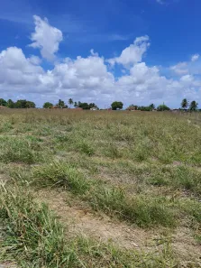 Fazenda/Sítio com 4 Quartos à venda, 270000m² no , Monte Alegre