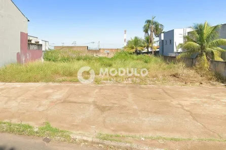 Lote/Terreno à venda, 300m² no Vigilato Pereira, Uberlândia