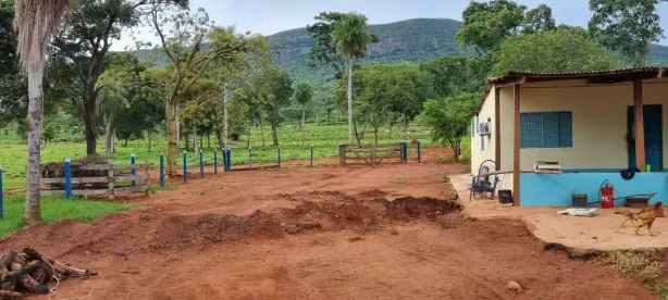 Fazenda/Sítio à venda, 46550000m² no , Camapuã