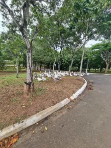 Lote/Terreno à venda, 1200m² no Colinas do Piracicaba (Ártemis), Piracicaba