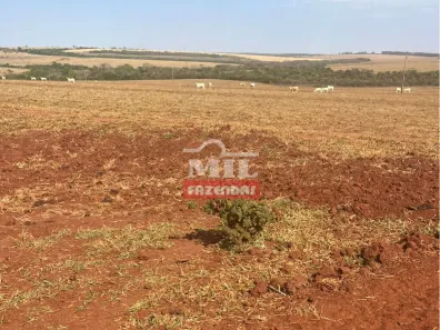Fazenda/Sítio à venda, 1m² no Jardim Aero Rancho, Campo Grande