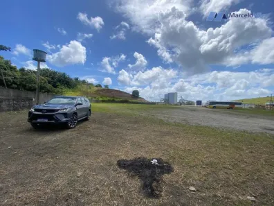 Lote/Terreno com 1 Quarto à venda, 7500m² no Santo Inácio, Cabo de Santo Agostinho