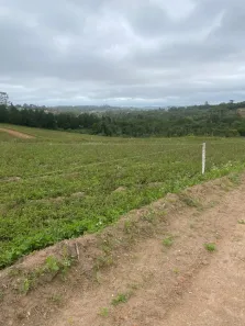 Lote/Terreno à venda, 500m² no Altos de Caucaia (Caucaia do Alto), Cotia
