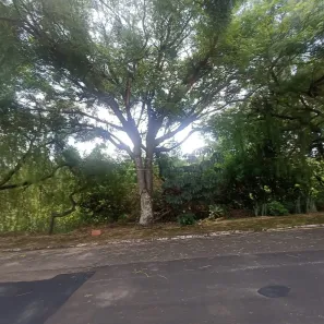 Lote/Terreno à venda, 459m² no Parque Santa Mônica, São Carlos