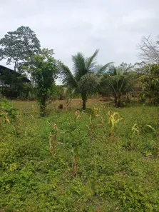 Lote/Terreno à venda, 5000m² no Prefeito Antônio Lins de Souza, Rio Largo