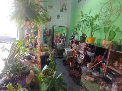 Ponto Comercial para alugar, 65m² no Liberdade, São Paulo