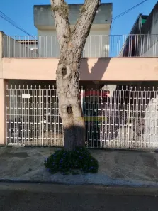 Sobrado com 4 Quartos à venda, 260m² no Parque Edu Chaves, São Paulo