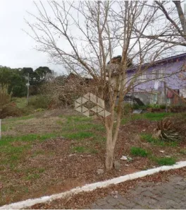 Lote/Terreno à venda, 403m² no Centenário, Farroupilha