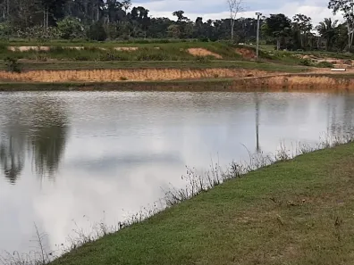 Fazenda/Sítio à venda, 800000m² no Áreas Especiais 01, Ariquemes