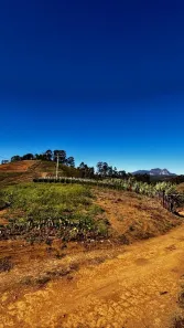 Lote/Terreno à venda, 40000m² no Aracê, Domingos Martins