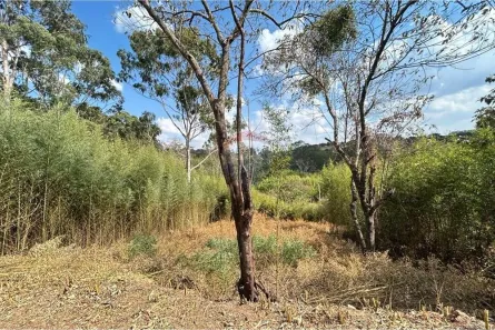 Lote/Terreno à venda, 325m² no Loteamento Jardim das Paineiras, Itatiba