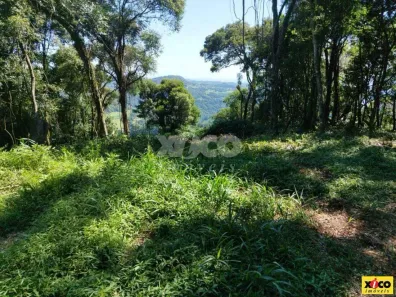 Fazenda/Sítio com 1 Quarto à venda, 5000m² no Dos Boêmios, Nova Petrópolis