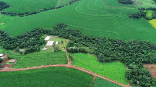 Fazenda/Sítio com 3 Quartos à venda, 1000m² no São João d'Oeste, Cascavel