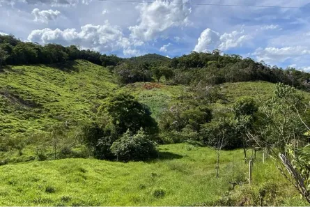 com 2 Quartos à venda, 84750m² no Centro, Jacupiranga