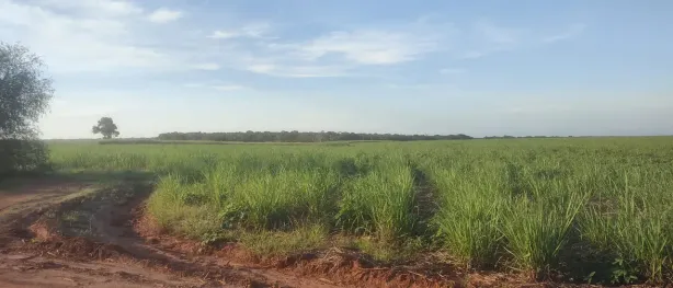Fazenda/Sítio com 2 Quartos à venda, 5650000m² no , Canguaretama
