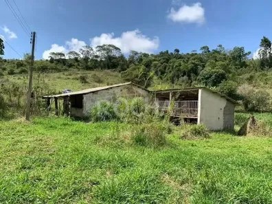 Fazenda/Sítio com 3 Quartos à venda, 65000m² no Área Rural de Gravatá, Gravatá