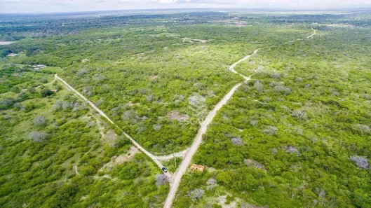 Fazenda/Sítio com 1 Quarto à venda, 4755305m² no Guanacés, Cascavel