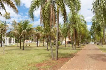 Fazenda/Sítio com 4 Quartos à venda, 1242m² no Primeiro de Maio, Primeiro de Maio
