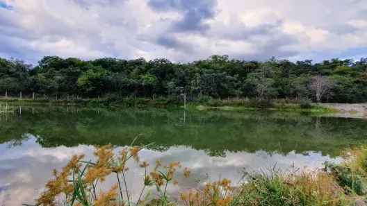 Lote/Terreno à venda, 1000m² no Doutor Campolina, Jequitibá