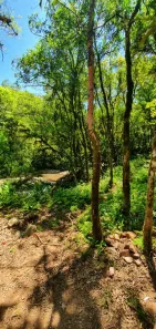 Fazenda/Sítio com 1 Quarto à venda, 30000m² no Linha Bonita, Gramado