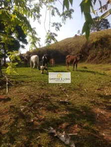 Fazenda/Sítio à venda, 70m² no Centro, Redenção da Serra