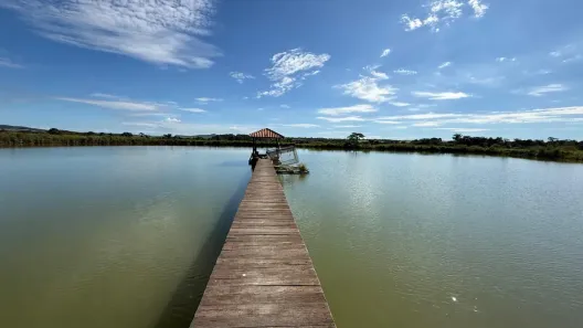 Fazenda/Sítio com 5 Quartos à venda, 8m² no , Pontalina