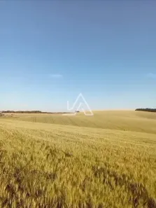 Lote/Terreno à venda, 5000m² no , Coxilha