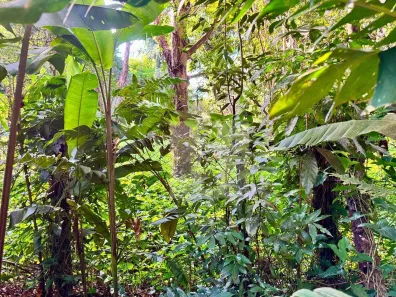 Lote/Terreno à venda, 565m² no Parque Jatibaia (Sousas), Campinas