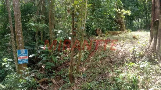 Lote/Terreno à venda, 1132m² no Boa Vista, Mairiporã