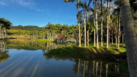 Fazenda/Sítio com 4 Quartos à venda, 250000m² no Área Rural de Camboriú, Camboriú