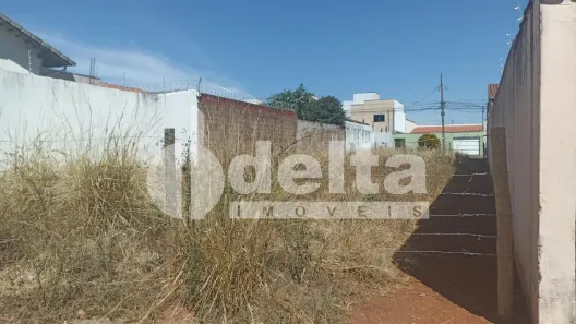 Lote/Terreno para alugar, 440m² no Alto Umuarama, Uberlândia