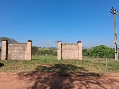 Fazenda/Sítio à venda, 242000m² no Chácara Bela Vista, São José do Rio Preto