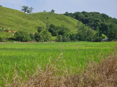 Lote/Terreno à venda, 166798m² no Rio Cerro II, Jaraguá do Sul