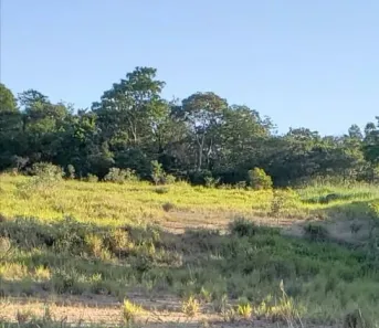 Lote/Terreno para venda ou aluguel, 29200m² no Cruzeiro dos Peixotos, Uberlândia