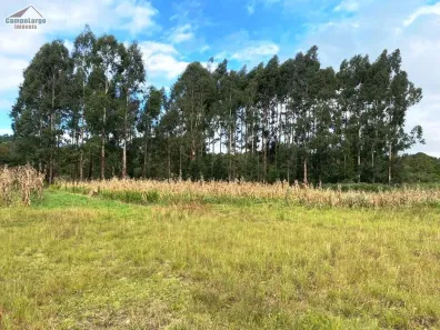 Lote/Terreno à venda, 300m² no Jardim Itaqui, Campo Largo
