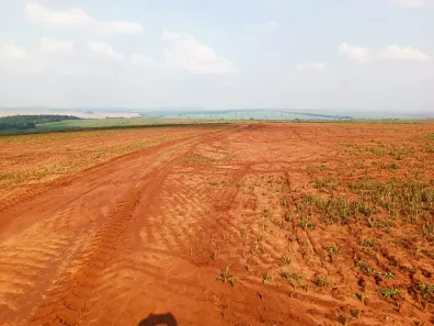 Fazenda/Sítio à venda, 6787200m² no Centro, Presidente Prudente