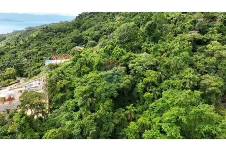 Lote/Terreno à venda, 10500m² no Santa Tereza, Ilhabela