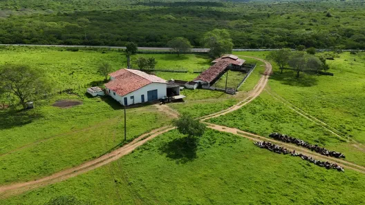 Fazenda/Sítio com 10 Quartos à venda, 4370000m² no , São Paulo do Potengi